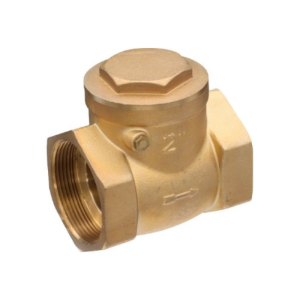 Valve Check Swing*1/2"